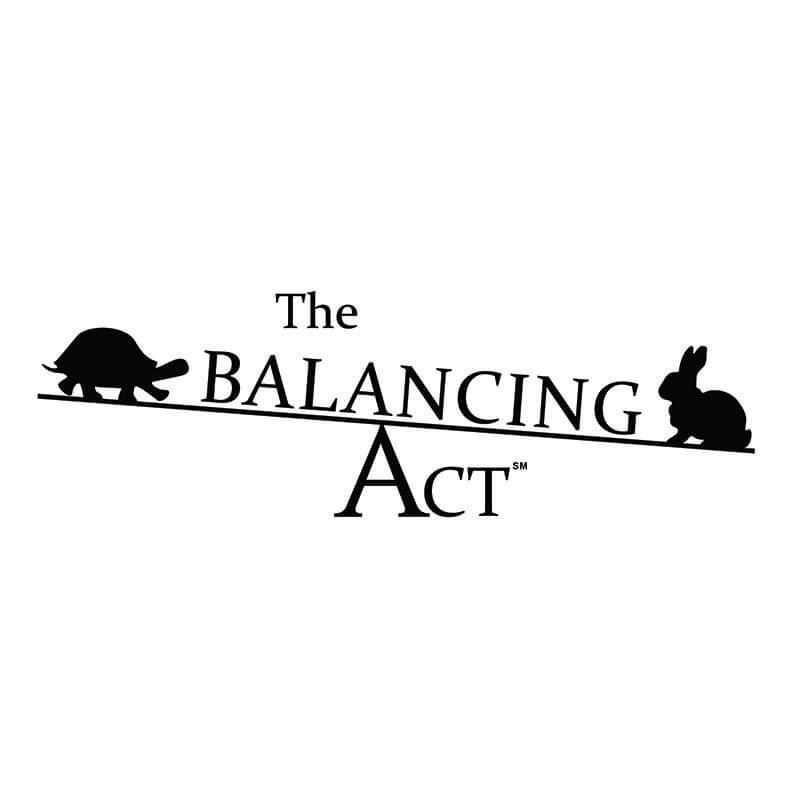 balancing act a strategy for success blog image